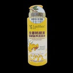 洛神生姜防脱发洗发水 LUOSHEN GINGER SHAMPOO 900ML