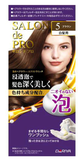 Dariya 专业沙龙泡沫染发剂 棕色 DARIYA SALON ED PRO BUBBLE #5 (BROWN)