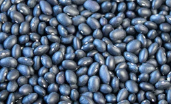 DRIED BLACK BEAN