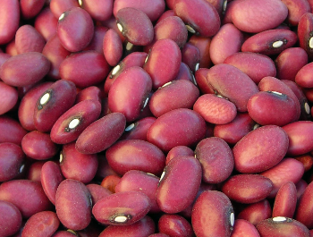 DRIED RED BEAN