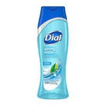 DIAL SILK SP WAT BODY WASH 16OZ