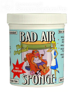 Bad Air Sponge, The Original, 1 Container  空氣清新劑, 除異味活性炭淨化劑 1罐